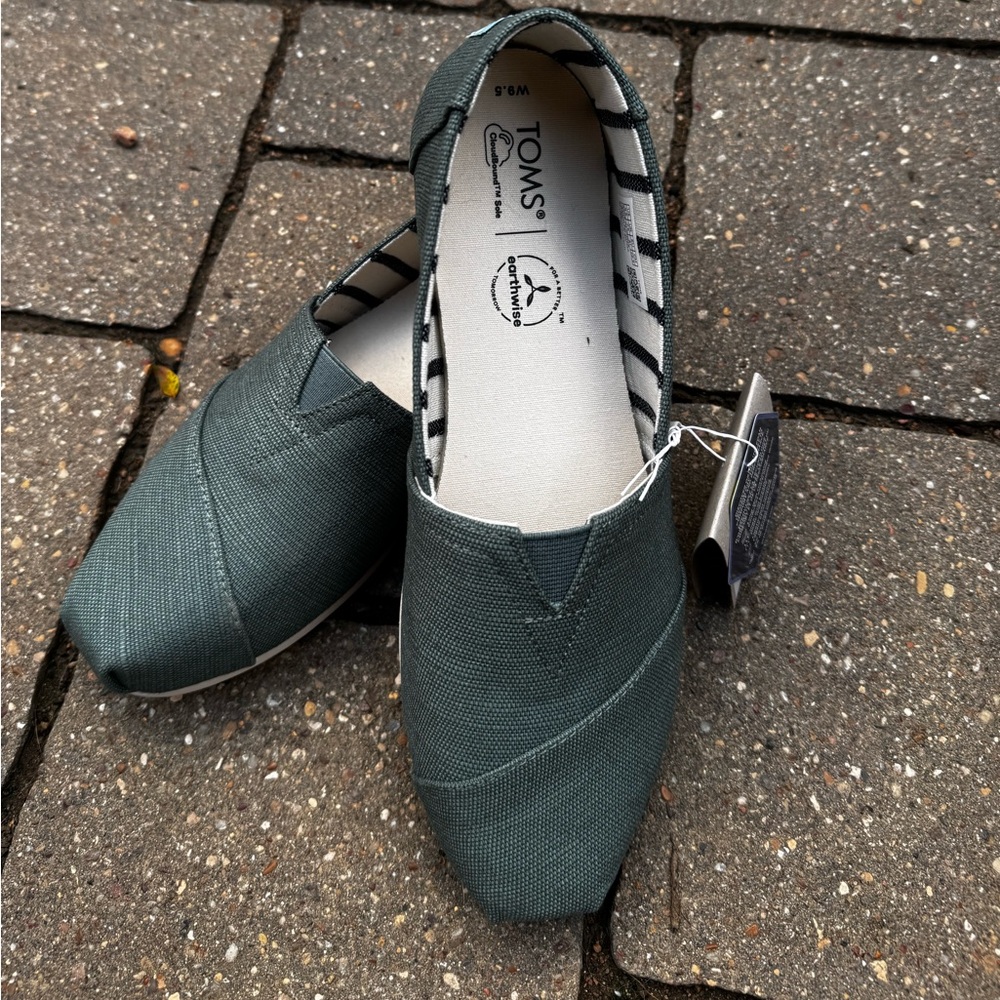 Toms Alpargata - Silver Pine Heritage Canvas